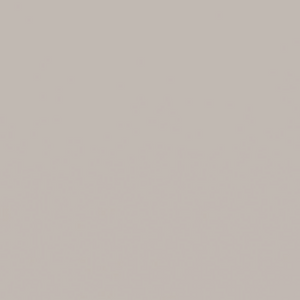 COOL TAUPE | STAR