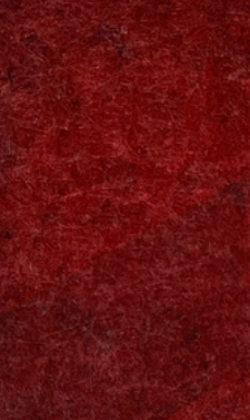 Printed Acoustic Panel
