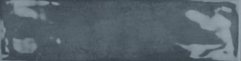 SPLENDER PEACOCK AQUA