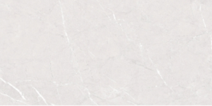 ALTROZ GREY (SKD)