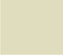 WOODTECH | YELLOWS