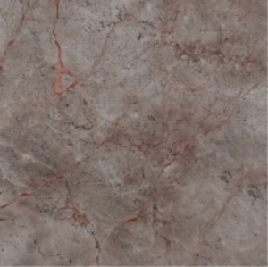 ADNON GREY | STAR