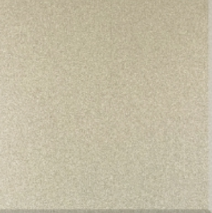 DELPHI TAUPE | STAR