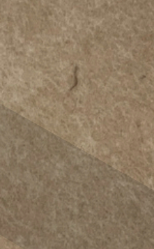 Printed Acoustic Panel