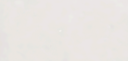 Arkety White