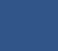 WOODTECH | BLUES