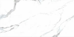 SATUARIO ELEGANTE (SKD)