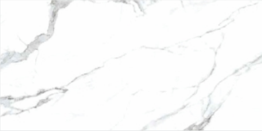 SATUARIO ELEGANTE (SKD)