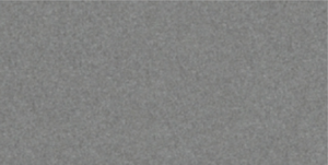 DELPHI GRIS POLISH (GLP) | FULLBODY