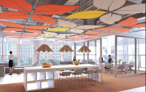Ceiling Rafts | Cardics