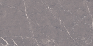 ALTROZ CEMENT (SKD)