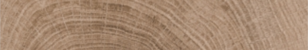 X-WOOD TEAK | WOOD