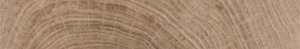 X-WOOD TEAK | WOOD