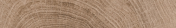X-WOOD TEAK | WOOD