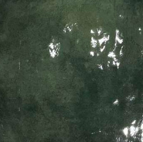 POOLS BOTTLE GREEN 80393