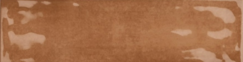 SPLENDER DESERT BROWN