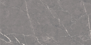ALTROZ GRIS (SKD)