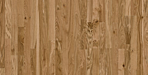 Oak Salzburg City