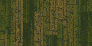 Aerial Collection Neighborhood Blocks