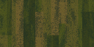 Aerial Collection Neighborhood Smooth