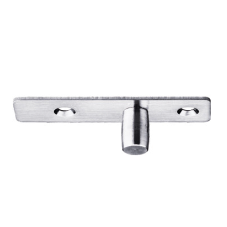 Top Pivot with SS Plate for Glass doors with Wooden Fixed Panel on Top, SS Matt (981.70.280)