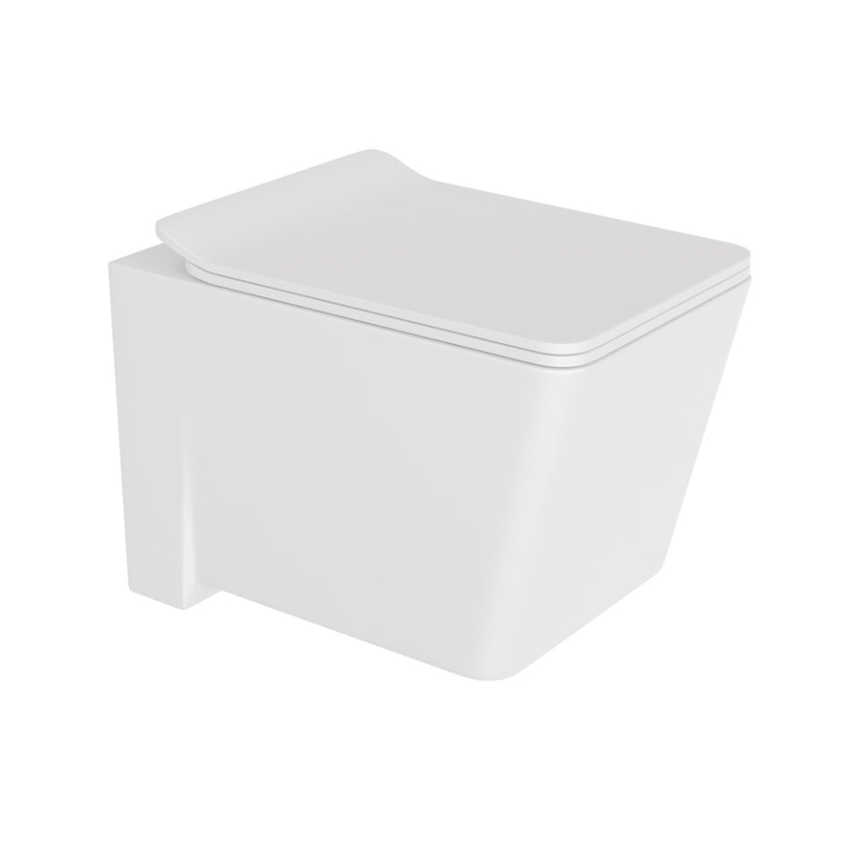 Rimless Blind Installation Wall Hung WC KUS-WHT-35953BIUFSMPM