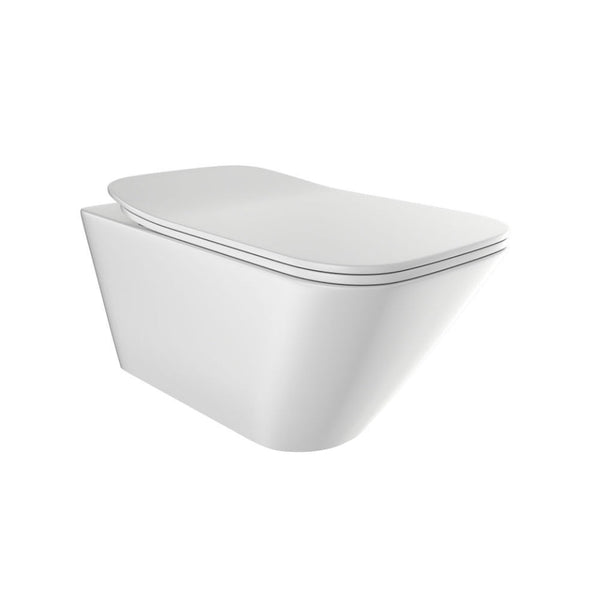 Rimless Blind Installation Wall Hung LAS-WHT-91953BIUFSM